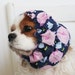 Little Piggy Dog Snood / Cavalier and Cocker Long Ear Covering / Only XS and Small available