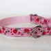 Teacup Dog Collar, Pink Rosebuds, Puppy Collar 1/2 inch width, Shabby chic Kitty Cat Collar