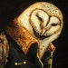 Night Sentry - ACEO LE - Last One