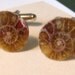 Ammonite Fossil Cufflinks ideal gift for a wedding birthday or anniversary