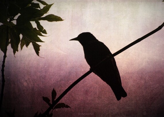 Download Items similar to Digital download Bird silhouette ...