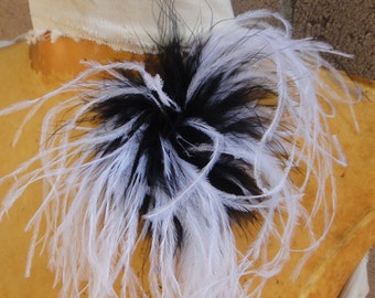 Cute feather applique black and white color