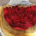 Fashion piece of embroidered ruffled applique red color