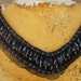 Cute beaded applique black color