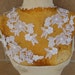 Cute venice applique white color 2 pieces listing