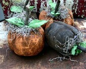 Primitive Grubby Halloween Pumpkins-Your Color Choice-Set Of 4-FAAP