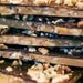 Nantucket Holiday Artisan Toffee, English Toffee, Butter Crunch 9oz. Dark Chocolate Bark
