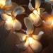 35 Frangapani Flower Fairy Lights Yellow 4 metres