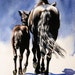 watercolor original horse painting black mare and foal mom and baby daily painting 5 x 7