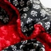 Minky Baby Blanket Skull and Crossbones Personalization Included