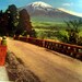 Vintage Japanese Photo Postcard Mt Fuji Takimoto Bridge 1940s 1950s