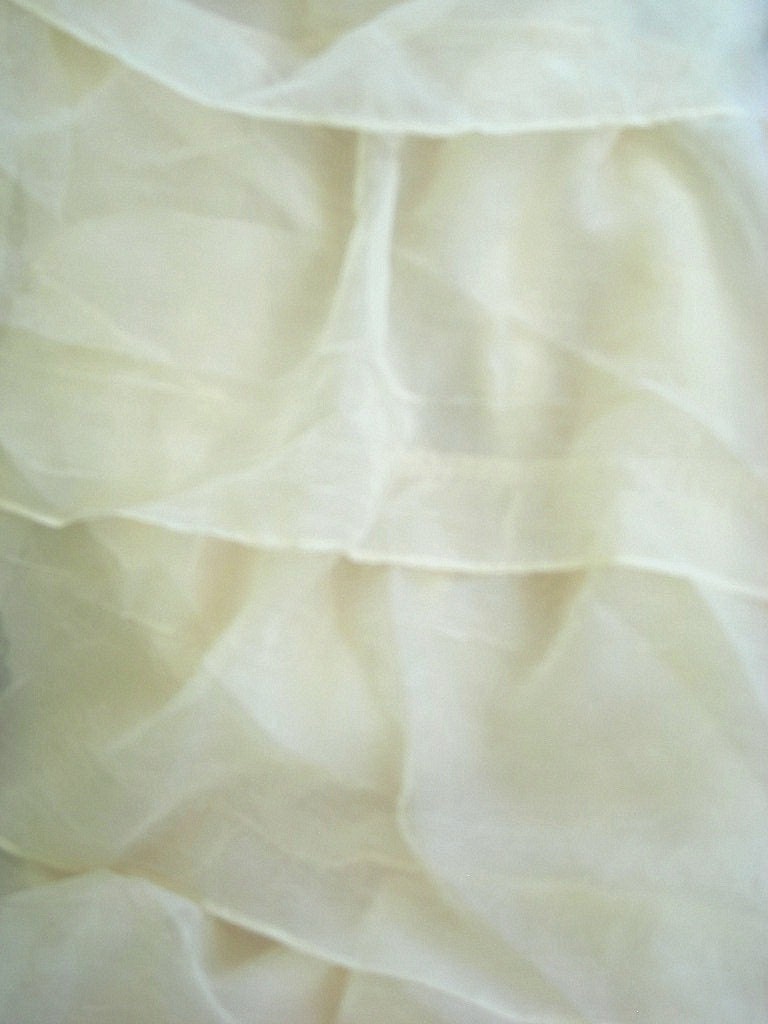 Shabby Chic Waterfall Ruffle Ivory Shower Curtain