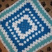 Crocheted Pet Blanket - Multi Blue/White Stripes