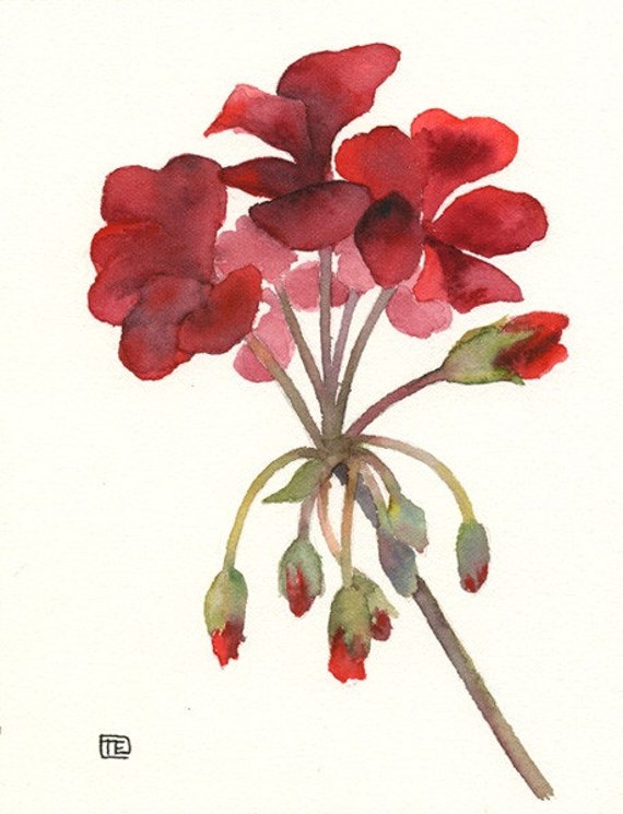 Items similar to Red Geranium - Original Watercolour Painting on Etsy