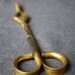 The weird scientific laboratory scissors. Antique golden chemistry tongs.