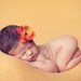 Pumpkin Spice Garden Flower Headband. Last One