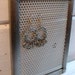Earring Holder, Silver Art Deco styled vintage Earring Display frame, magnetic, Jewelry organizer, 5 x 7 inches