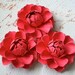 The Bella Paper Flowers - Berry - set of 3