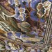 OMG My Fav - Beautiful ECHO Floral Silk Scarf - 31 x 31 Square - Best of the Best