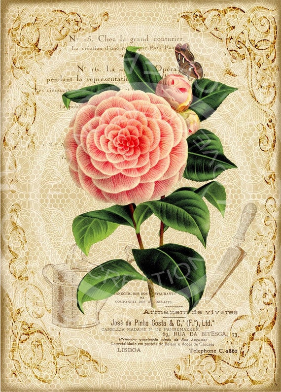 Items similar to 5x7 Printable Art Digital Images Vintage Flower