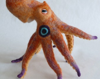 Two Spot Octopus