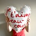 Je taime beaucoup I love you in French Embroidery Pillow Cushion Heart Valentines Day