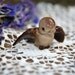 Vintage Hagen Renaker Brown Tweetie Bird Mama Model A 482 Retired