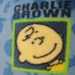 Charlie Brown on Blue with Bright Green Handmade Fleece Blanket