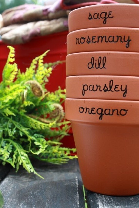 Items similar to Custom Herb Flower Pots (Set of 4) on Etsy
