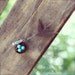 Wire Wrapped Sparrow Birds Nest Necklace