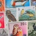 Where Eagles Dare 50 Vintage US Worldwide Bird Postage Stamps Philately Ornithology Birds Water Fowl Stork Toucan Duck Owl Swallow