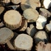 80 Beautiful Florida Oak Branch Slices, Miniature Tree Stumps, Crafts And Home Decor, Mixed Size Lot
