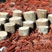 15 Oak Branch Slices, Miniature Tree Stumps, Tree Slices, Crafts And Home Decor, Mixed Sizes For Terrariums , Florida Oak, Lot 117