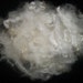 Core Wool / Supplies / Romney Wool / Needle Felting
