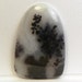 Beautiful Medicine Bow Dendritic Agate Cabochon (AGT0370)