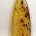 Montana Agate Free Form (AGT0381)