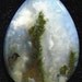 Grave Yard Point Plume Agate Cabochon (17004) Free Shipping
