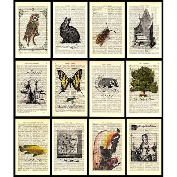 FREE Vintage Art Print Buy any 2 get further 1 free Print on
