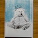 fred bear greetings card - by special guest Luke Waller - lazy poplar bear - pack of 5