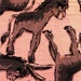 vintage children's cotton fabric - 1930s large print donkeys on pink cotton - 3 yards