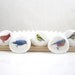 FREE United States Shipping, Bird Watcher, LARGE Glass Circle Magnets, Set of 5, Round Glass Magnets, Neodymium Magnets