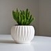 Mid Century Modern McCoy Pottery