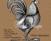 Rooster Clip art Rooster Clipart 8 x 10 Resizable PNG Printable Iron Transfer, Digital Scrapbooking Element Clip Art Il_170x135