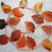 15 Pcs Fine Carved Leaf Red Agate Gemstone Beads