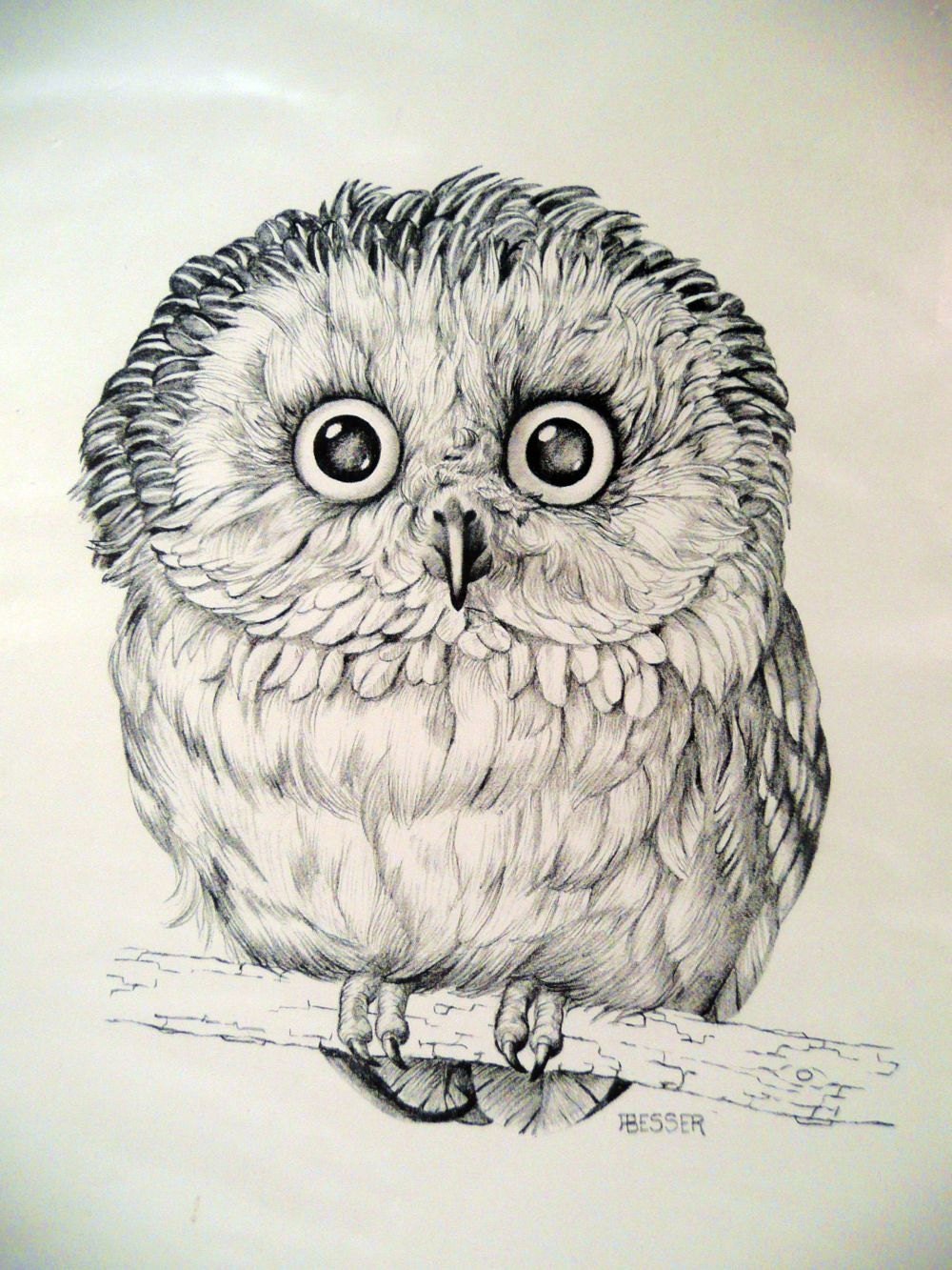 OWL art PRINT DRAWING by Besser printed for Cunningham