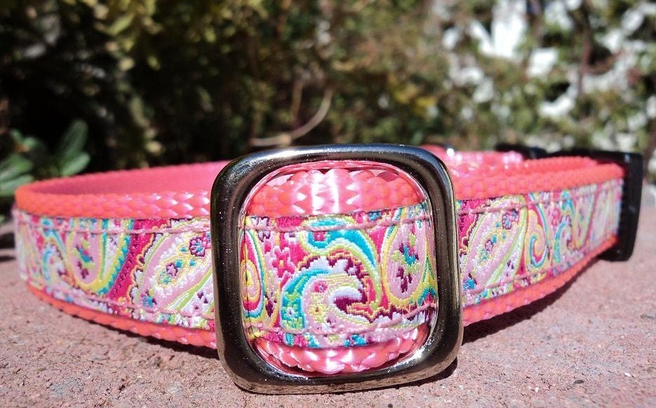 Small Girl Dog Collar 3/4 width Pink Paisley Quick