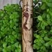 Whispering Sam Hand Carved Red Cedar Hiking Walking Stick