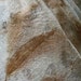 Leaf litter silk nuno felt scarf