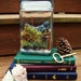 Live Natural Moss Terrarium in a Large Glass Jar, Mini Ecosystem, Spring Decor