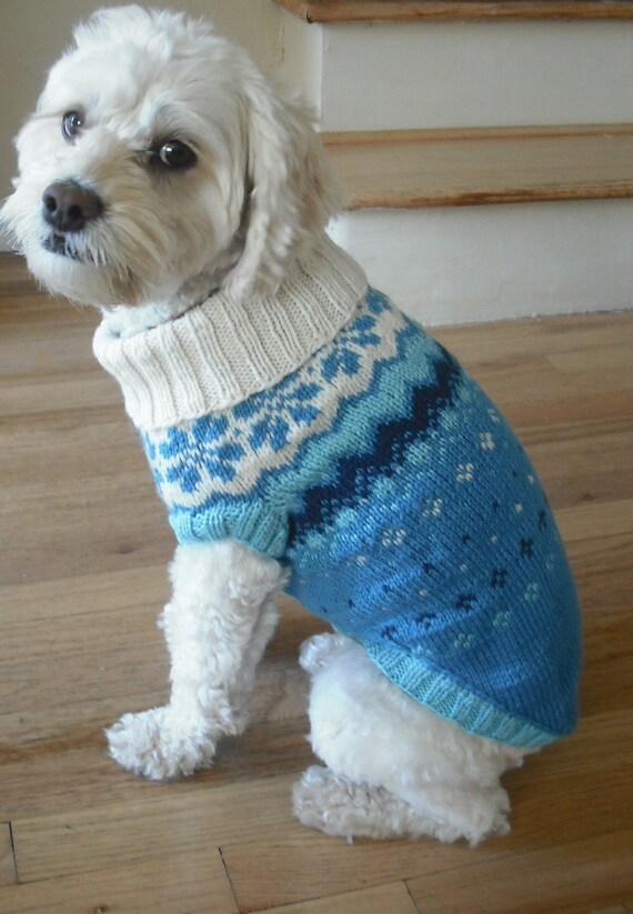 Items similar to blue dog sweater on Etsy